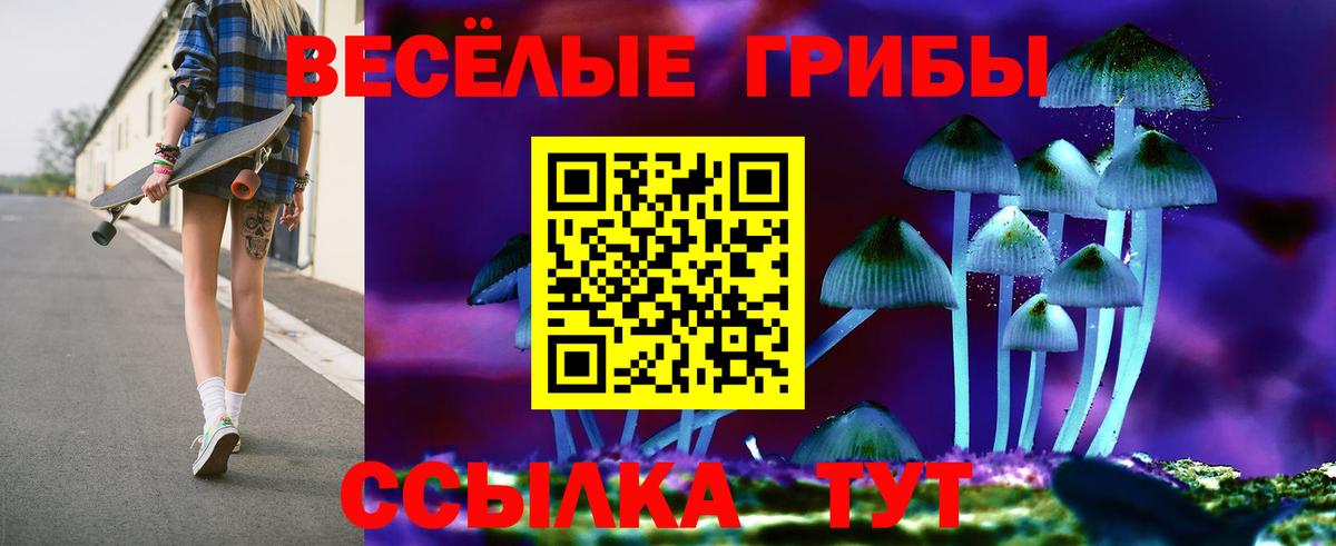 Магадан  Псилоцибиновые грибы Psilocybine cubensis  Вход с VPN 